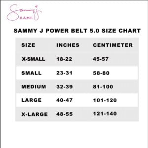 Sammy J body shaper belt with compression corset design for women's waist slimming and shaping, shown in black.